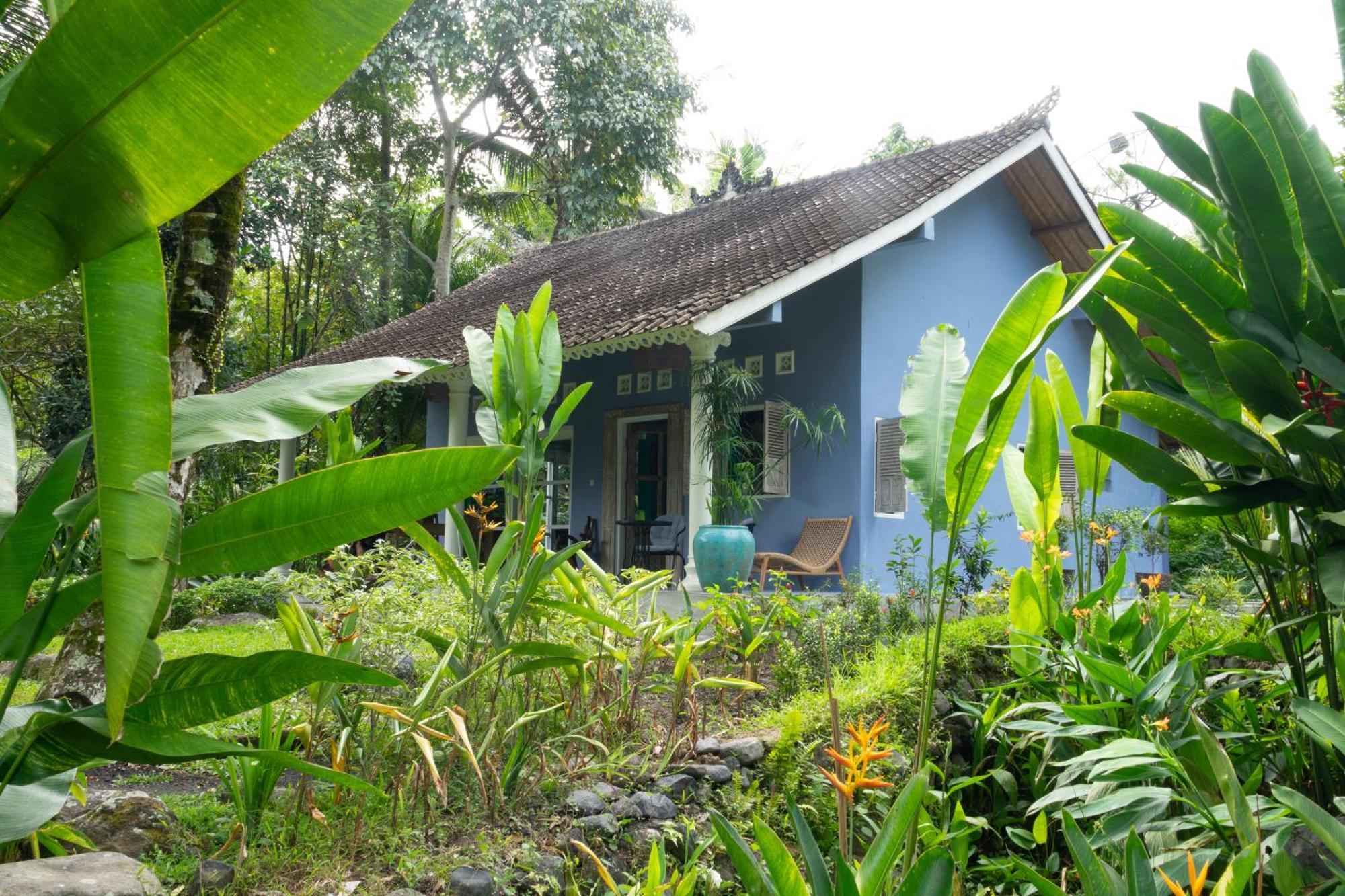 Darmada Eco Resort Sidemen  Zewnętrze zdjęcie